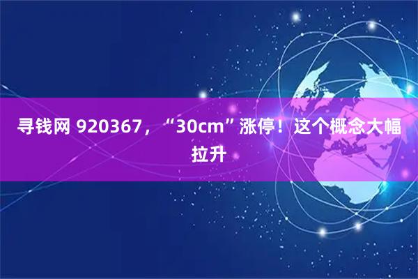 寻钱网 920367，“30cm”涨停！这个概念大幅拉升